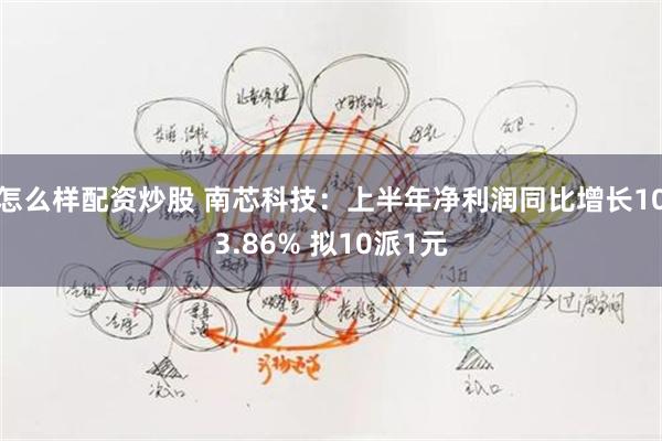 怎么样配资炒股 南芯科技：上半年净利润同比增长103.86% 拟10派1元