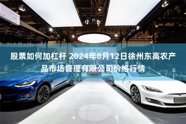 股票如何加杠杆 2024年8月12日徐州东高农产品市场管理有限公司价格行情