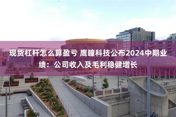 现货杠杆怎么算盈亏 鹰瞳科技公布2024中期业绩：公司收入及毛利稳健增长