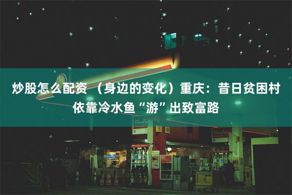 炒股怎么配资 （身边的变化）重庆：昔日贫困村依靠冷水鱼“游”出致富路