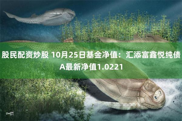 股民配资炒股 10月25日基金净值：汇添富鑫悦纯债A最新净值1.0221